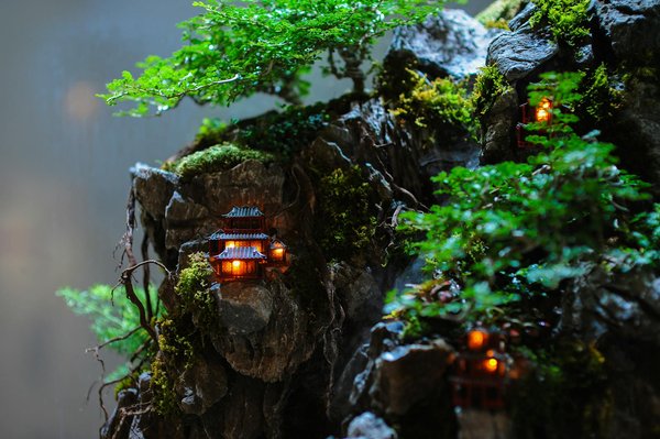 Cinquantenaires Cameroun