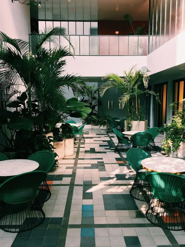 Comment construire un petit hôtel pour hérissons dans un jardin urbain ?